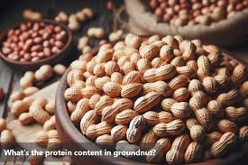 Ground nuts-12131356