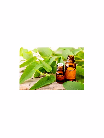 Eucaliptus oil