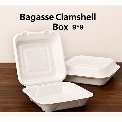 sugarcane bagasse