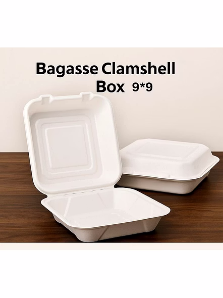 sugarcane bagasse-12870019