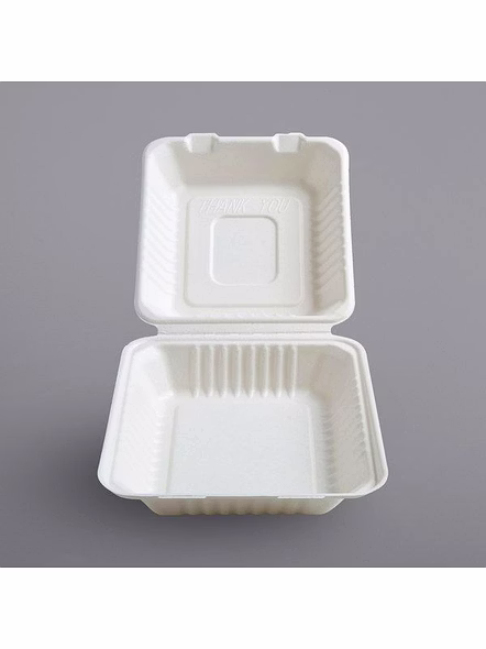 sugarcane bagasse-1