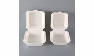 sugarcane bagasse