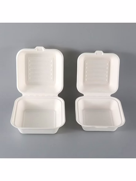 sugarcane bagasse-2