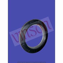 oil seal front man truck 90-66-12 (vin-00076)