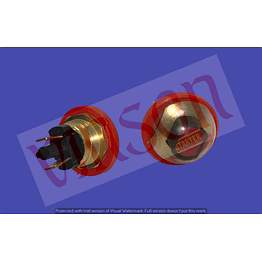 push/starter/horn button (brass) (vin-00428)