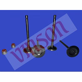 engine valve set w/ seal tvs king (vin-00856)