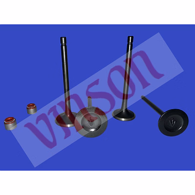 engine valve set w/ seal tvs king (vin-00856)