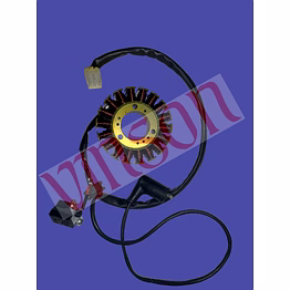 stator assembly ape city (vin-00524-5)