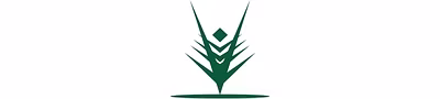 About Us | P P Bafna Ventures Pvt Ltd