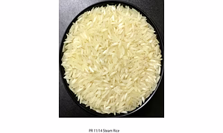 PR 11/14 Steam Basmati Rice