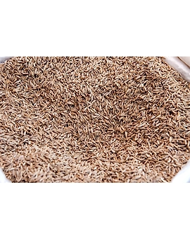 Cumin Seeds (Jeera)