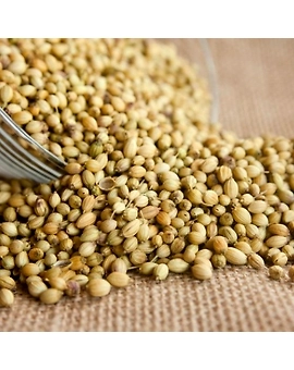 Coriander Seeds (Dhaniya)