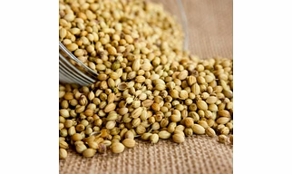 Coriander Seeds (Dhaniya)