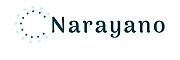 Narayano Ventures Private Limited-logo