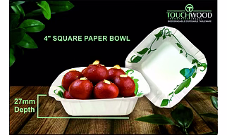 4 inch square paper bowl