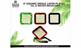 6 inches square paper plates