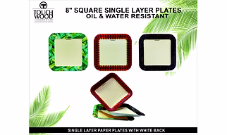 8 inches square paper plates