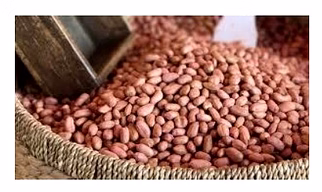 Ground Nut