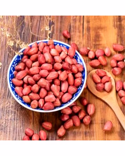 Ground Nut-1