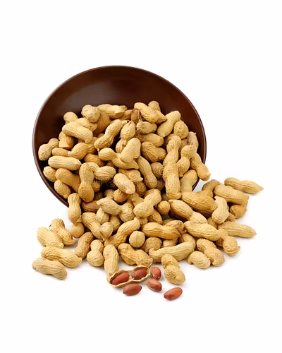 Ground Nut-3