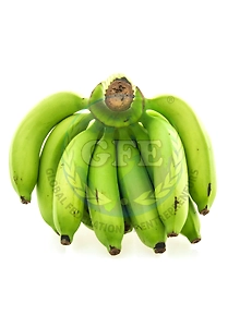 Cavendish Banana
