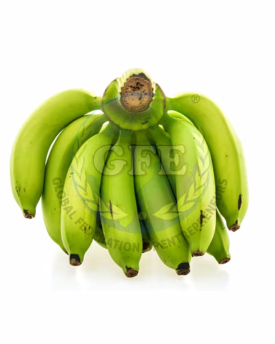 Cavendish Banana-12419716