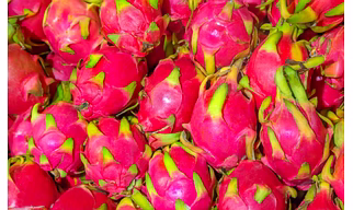Dragon Fruit