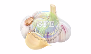 Garlic