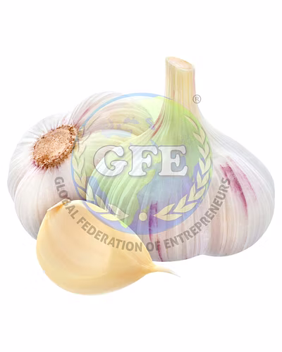 Garlic-12456406