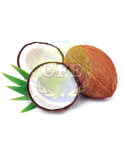 Coconut-3
