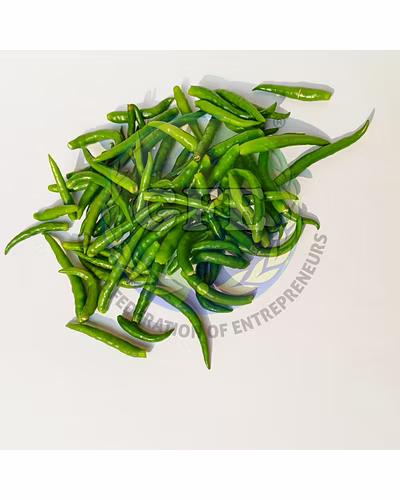 Green chillie-12456768