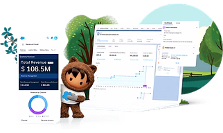 Salesforce Platform Customisation, Development and Consulting Services