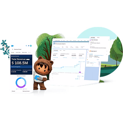 salesforce platform customisation, development and consulting services