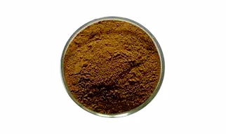 Coleus Root Extract