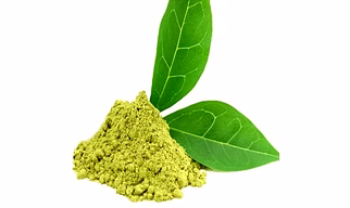 Green Tea Extract powder