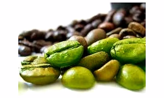Green Coffee Extract Powder