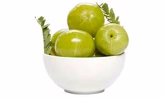 Amla Extract  powder