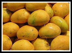 Banganapalli Mangoes-2