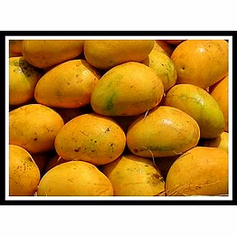 aegean exports banganapalli mangoes