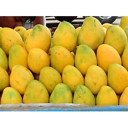 AEGEAN EXPORTS Mangoes
