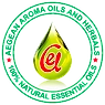 AEGEAN EXP TECHNOLOGIES