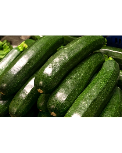 ZUCCHINI-1