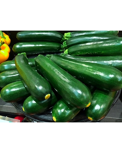 ZUCCHINI-12336212