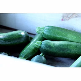 celery