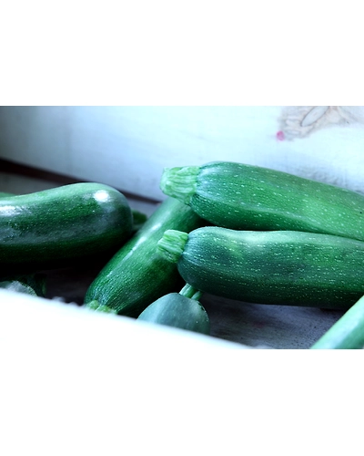 CELERY-12336196