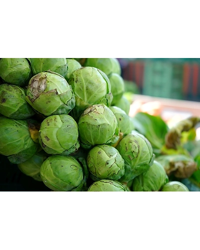 BRUSSELS SPROUT-1