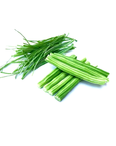 DRUMSTICK-12336228