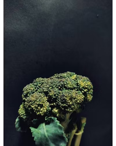CRUCIFEROUS-2