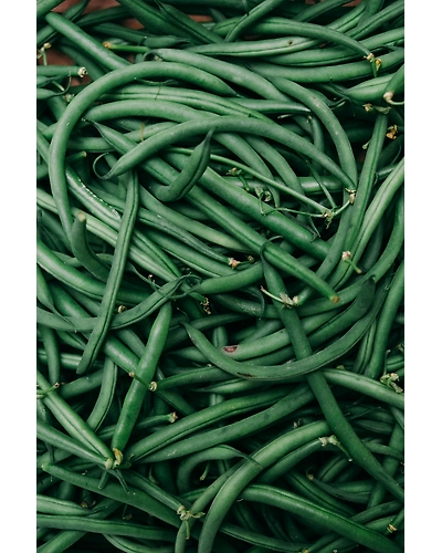 BEANS-12336380