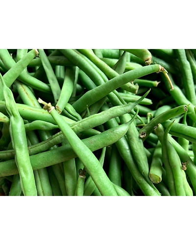 BEANS-1